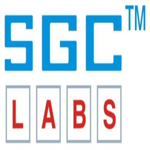 Lab Glassware Filter SGCLABS Filter App. Complete w/Flask 500ml G-2 Porosity